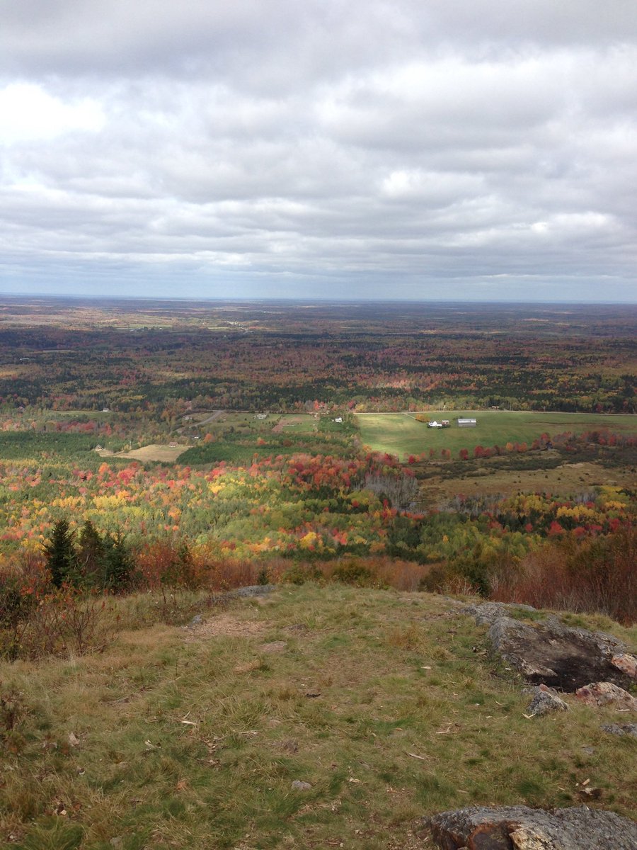 scottsmith_16's tweet photo. Home is where your heart is #mynovascotia #novascotia #novascotiaproud https://t.co/bl5NPmWDSq