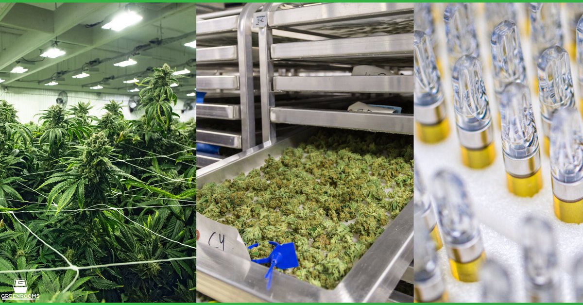 GreenroomsBuild's tweet photo. We have been working with a number of clients looking to downsize their operation by placing grow rooms, processing equipment, and commercial kitchens under the same roof. Call today to see how we can help consolidate your business! 👷🏻‍♂️🍁🛠 #cannabisconstruction #generalcontractor https://t.co/HplXFCTvLg