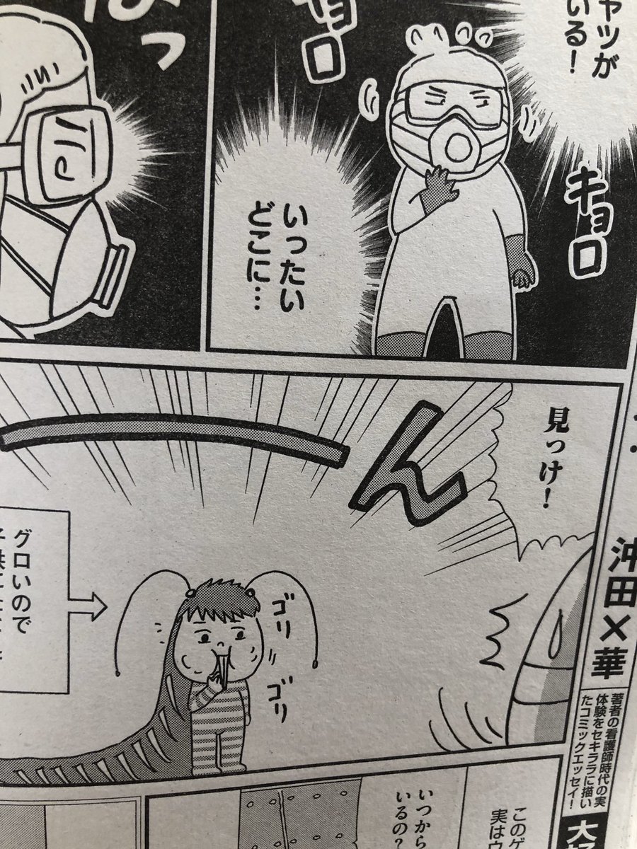 沖田 華 おきたばっか 虫閲覧注意 今月の本笑ピンキーは12周年を迎えました 華やかな表紙とは裏腹に 今回の不浄を拭うひとは害虫特集です いろんな虫キャラをご堪能ください 沖田 華 おきたばっか 虫閲覧注意 今月の本笑ピンキーは12周年を迎えました 華やかな表紙とは裏腹に 今回の不浄を拭うひとは害虫特集です いろんな虫キャラをご堪能ください