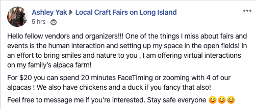 polly's tweet photo. a lady in long island is offering up zooms with her alpacas. $20 for 20 minutes, four alpacas included. https://t.co/01MpaPJn4Q