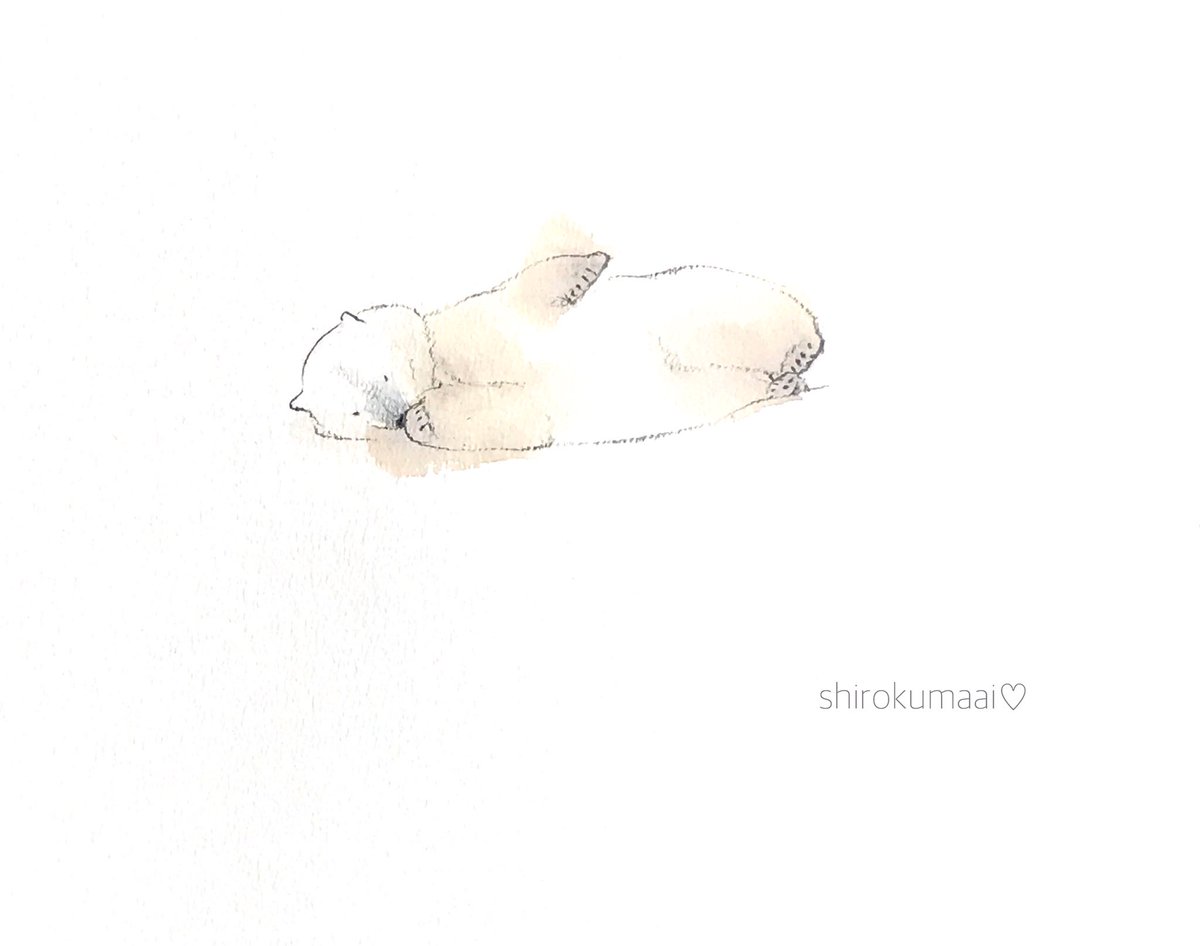 中村 愛 毎日ゴロゴロ もふもふ 円山動物園 リラ ホッキョクグマ シロクマ イラスト