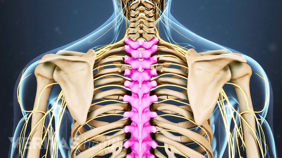 DrSusmitNaskar's tweet photo. 🔲 Lumbar Laminectomy for Spine or #Spine Decompression in India
▫️
▫️
🔲 Are you suffering from #spinal or any other related pain? Request an appointment with Dr. #Susmit #Naskar today. Visit https://t.co/bH9ibCgx1v for appointment. https://t.co/jLHDmMrpLC