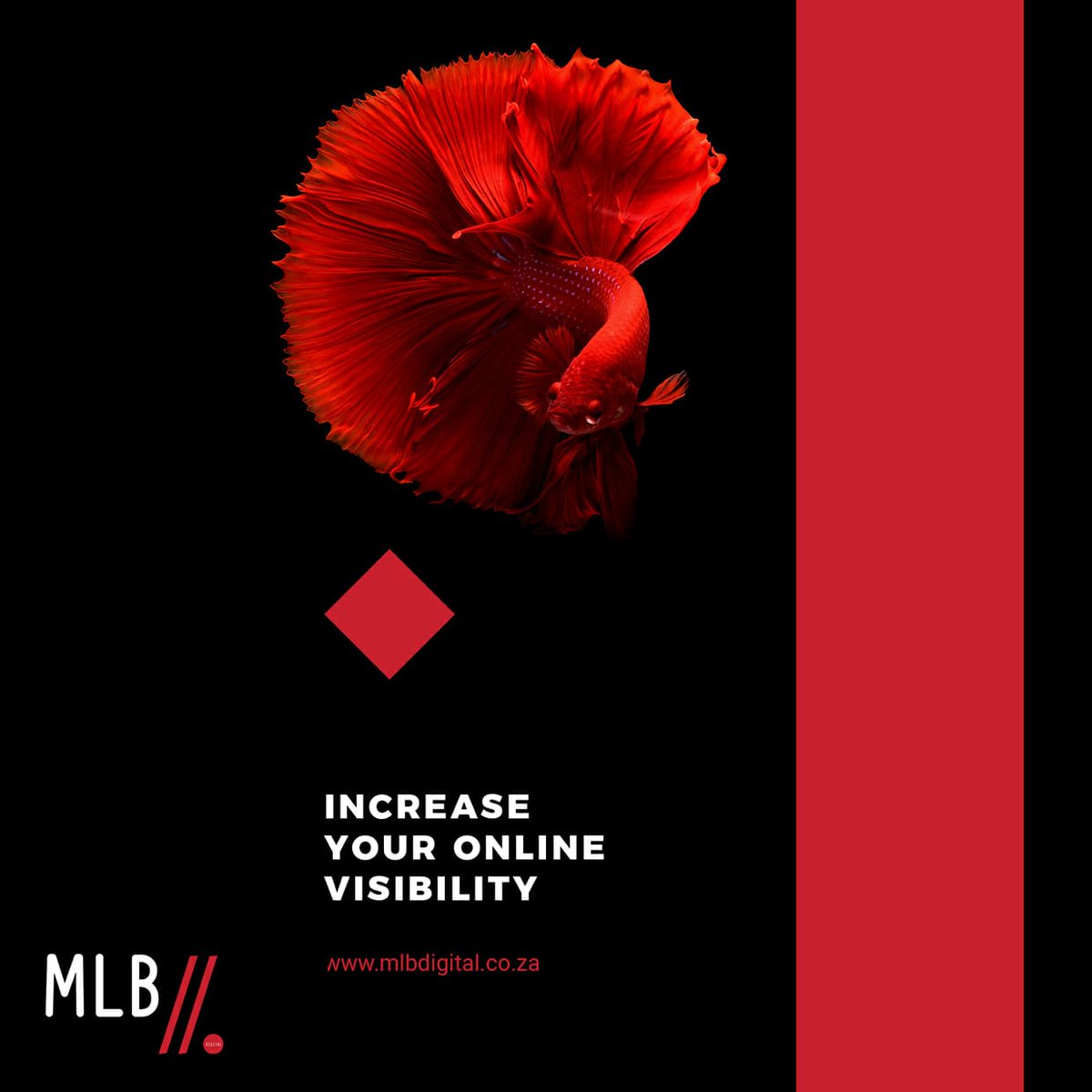 Separating the Good brands from the Great brands 🌎📞👩🏾‍💻

mlbdigital.co.za