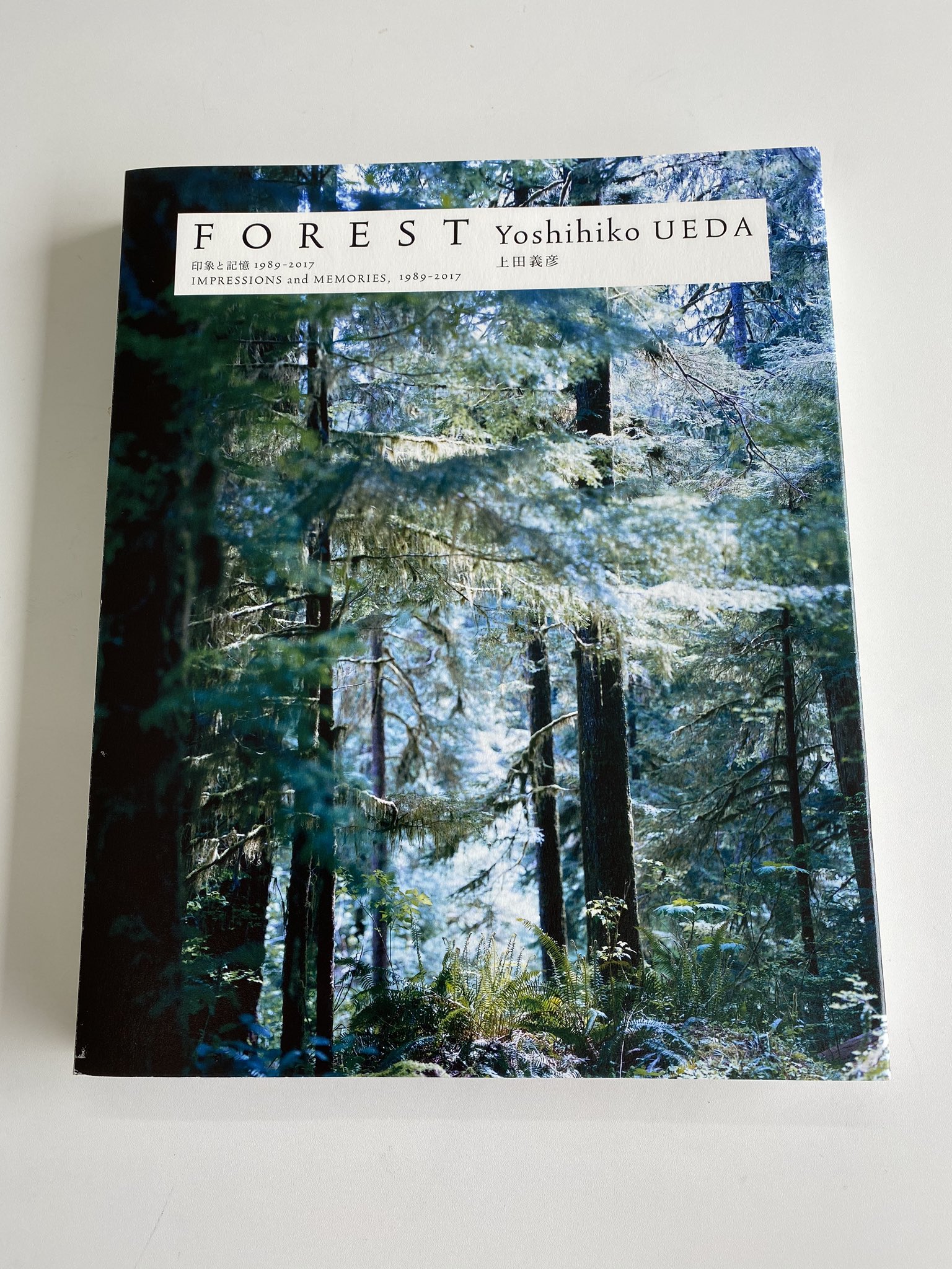 写真集　上田義彦 上田義彦写真集 FOREST 印象と記憶 1989-2017｜青幻舎 SEIGENSHA