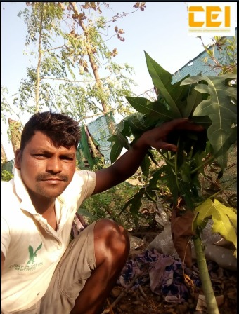 CEIempowers's tweet photo. @ceiempowers trained tribal project officers like Sakharam in Horticulture &amp; Kitchen Garden programs. This Agro-Entreprenuership is now running successfully in Avandhe tribal village (Sudhagad Tehsil, Raigad) #CEI_CovidResponse https://t.co/TPww9kHIIx