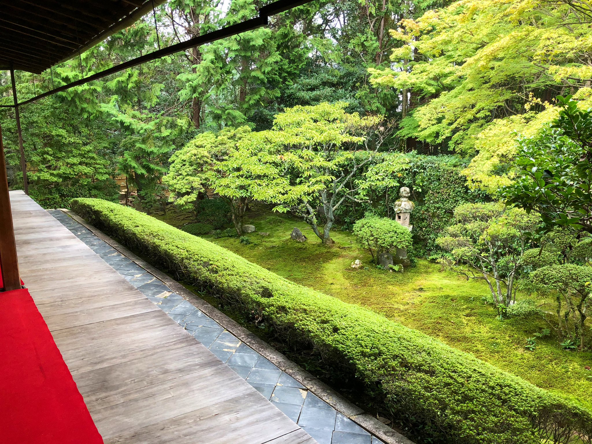 jardin-avec-piscine-revetement-sol-bois-meubles-rotin