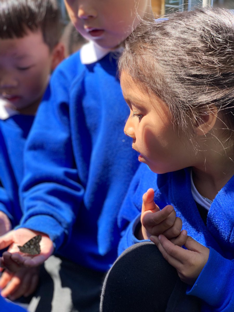 If you are experiencing problems accessing your FSM voucher please contact the school office to discuss any concerns you may have or how to get support in applying. #freeschoolmeals