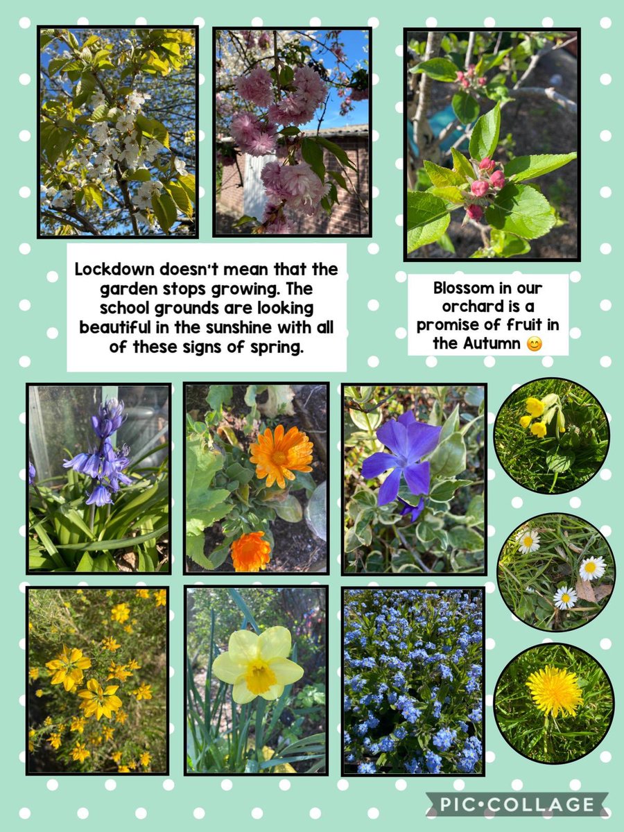 Brownsover Comm Sch tweet media