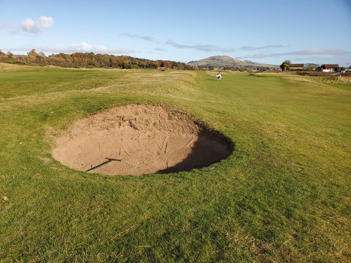 A thread, on a thought that keeps confounding me:Bunkers evolved naturally in Scotland, from windswept depressions in the sand, aided by animals seeking refuge from the weather. Sure, they've been refined & stylized there over time, but they're still lineal descendants. 1/7