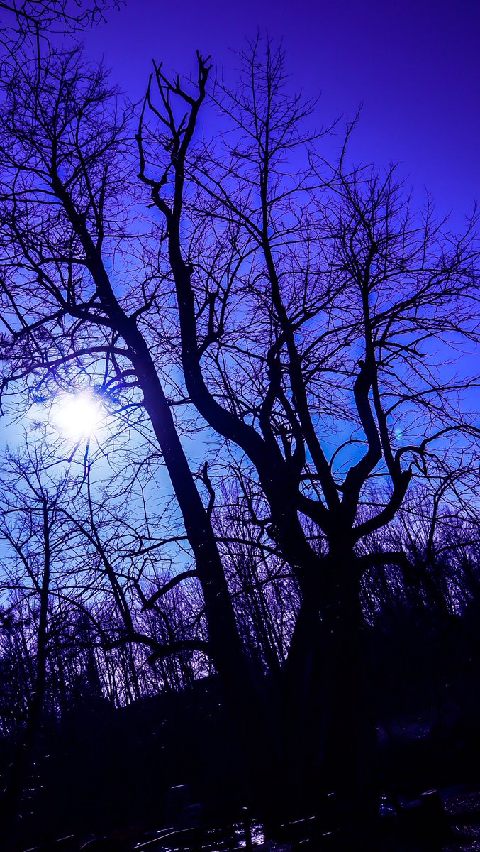 TraxxPitts's tweet photo. 🌊DiscoveringTheWaterFront🌊
📷•|Canon•M50|15-45mm|•📷
📍Philadelphia, NY📍
🎥 https://t.co/0VfnQjx6eI 🎥 https://t.co/42Q1Pc2Hu6