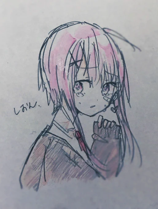 うちのこです 久しいネ〜、!! 