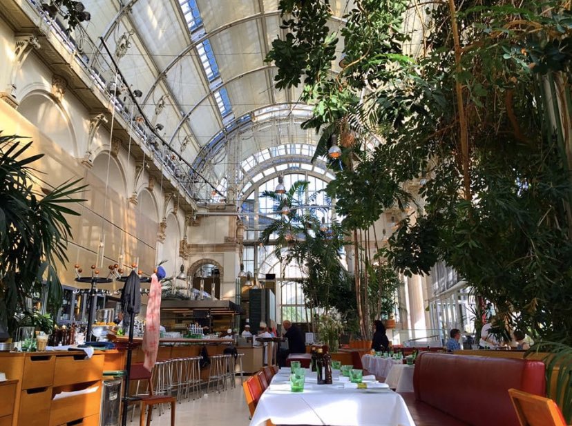 I love coffee and beautiful coffee shops, but das Wiener kaffeehaus culture is the world’s best! I’ve spent hours catching up with friends, planning itineraries and enjoying my usual melange. Some favorites: Hawelka, Central, Palmenhaus and Landtmann. Worth the trip to Vienna!