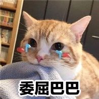 yy50516436's tweet photo. 视频类媒体  转化高达40%  专业博彩 网赚 彩票 棋牌 兼职  保健各种行业，政策市场最高，可量可现，需要的老板联系
QQ147973051
vx   j1479730516 https://t.co/q37VTK48UW