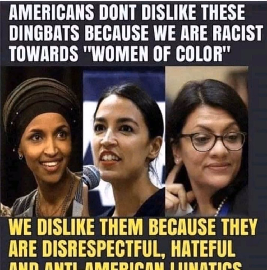 WildElementsNY's tweet photo. @justicedems @IlhanMN Communism is cancer, if they dislike our government then don't accept the monthly check they get with our tax money, hypocrites @JoeBiden #COVID19 @MCaruso_Cabrera @PeteButtigieg @DonaldJTrumpJr @f_socialism #amazonnewyork #byebyeAOC https://t.co/CHQCEcLgTo