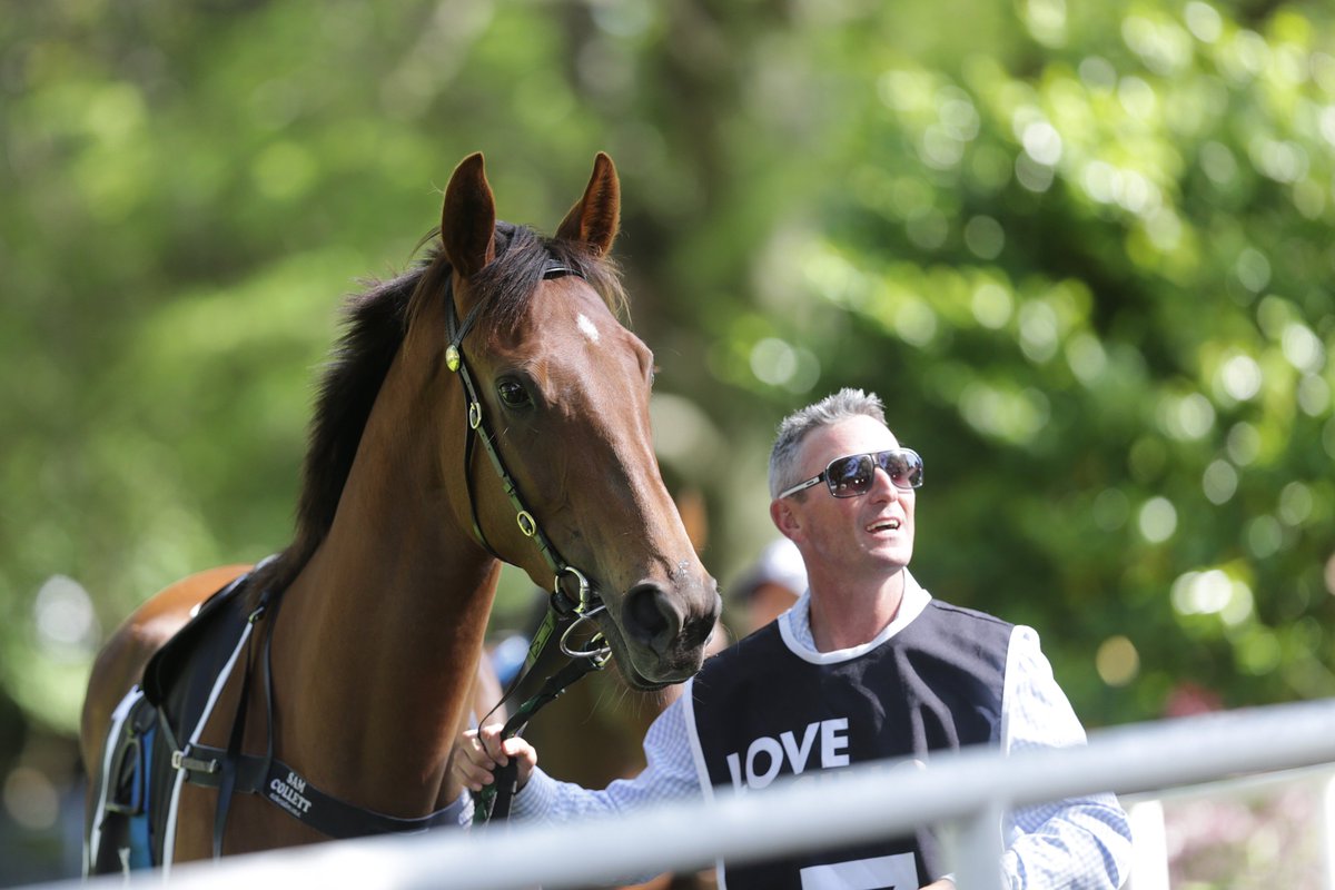 Cambridge Trainer Ben Foote is finding the positives of a Covid-19 enforced lockdown but is looking forward to talented 3YO Travelling Light returning to work
racingnews.co.nz/foote-finds-po…