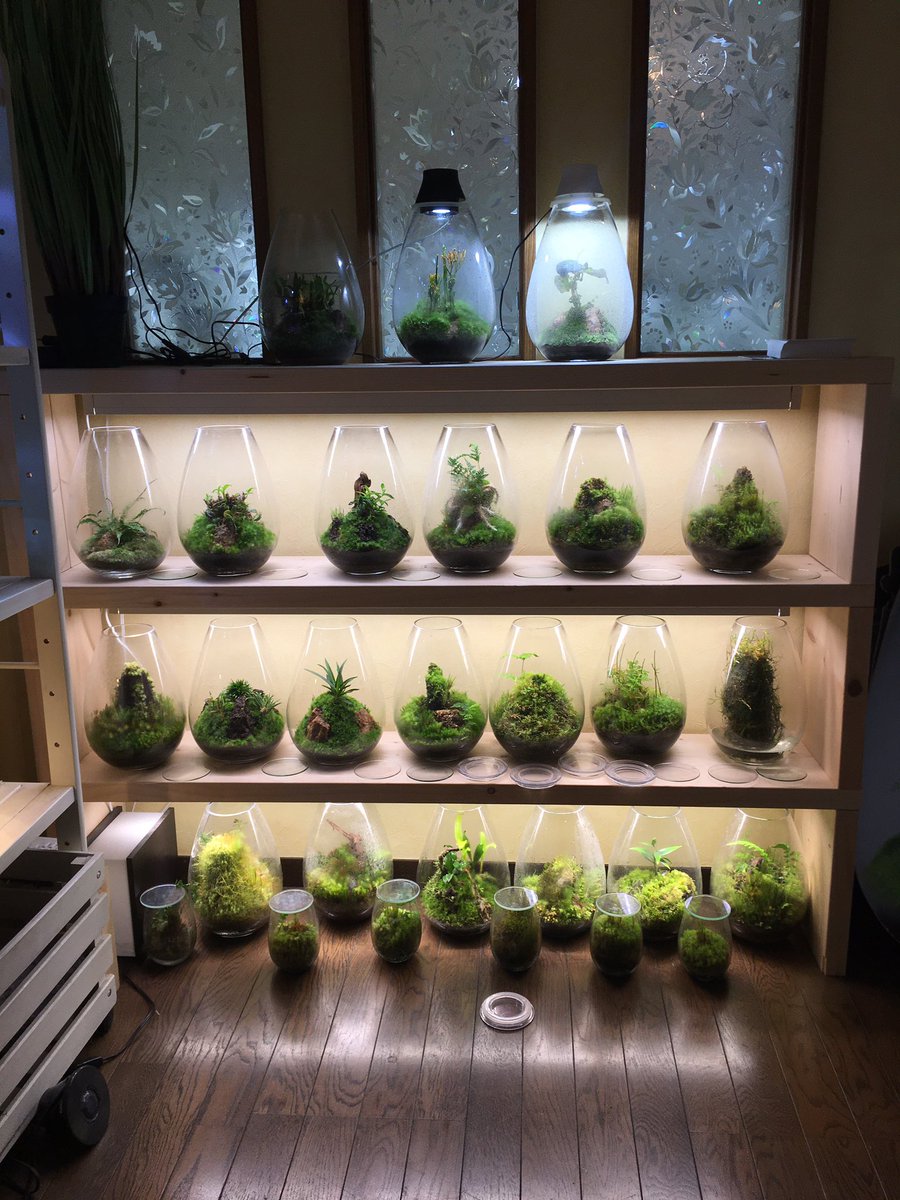 Uzivatel Mosslight Led Led照明付テラリウム Na Twitteru 週に1回の霧吹きでの水やり 作品は展示品と販売品をあわせて1台まで拡大してきました 展示会でのコミュニケーションでどれだけ元気をもらっていたか 外出自粛していたら感じますよね 感謝です Uzivatel Mosslight Led Led照明付テラリウム Na Twitteru 週に1回の霧吹きでの水やり 作品は展示品と販売品をあわせて1台まで拡大してきました 展示会でのコミュニケーションでどれだけ元気をもらっていたか 外出自粛していたら感じますよね 感謝です