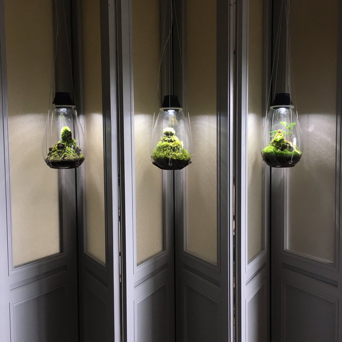 Uzivatel Mosslight Led Led照明付テラリウム Na Twitteru 週に1回の霧吹きでの水やり 作品は展示品と販売品をあわせて1台まで拡大してきました 展示会でのコミュニケーションでどれだけ元気をもらっていたか 外出自粛していたら感じますよね 感謝です Uzivatel Mosslight Led Led照明付テラリウム Na Twitteru 週に1回の霧吹きでの水やり 作品は展示品と販売品をあわせて1台まで拡大してきました 展示会でのコミュニケーションでどれだけ元気をもらっていたか 外出自粛していたら感じますよね 感謝です