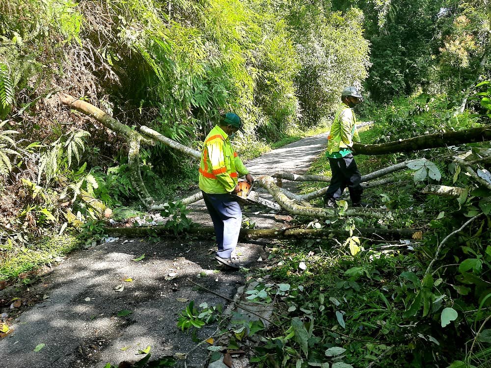 BELATI HQ tweet media