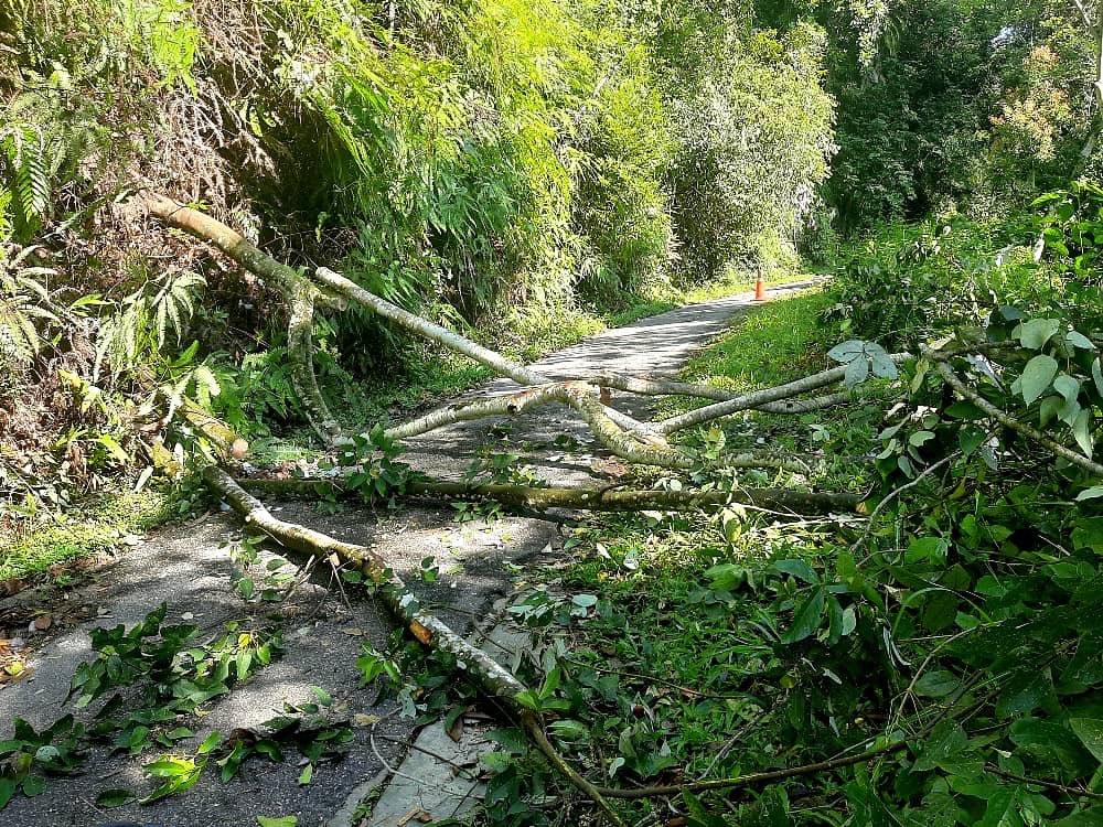 BELATI HQ tweet media