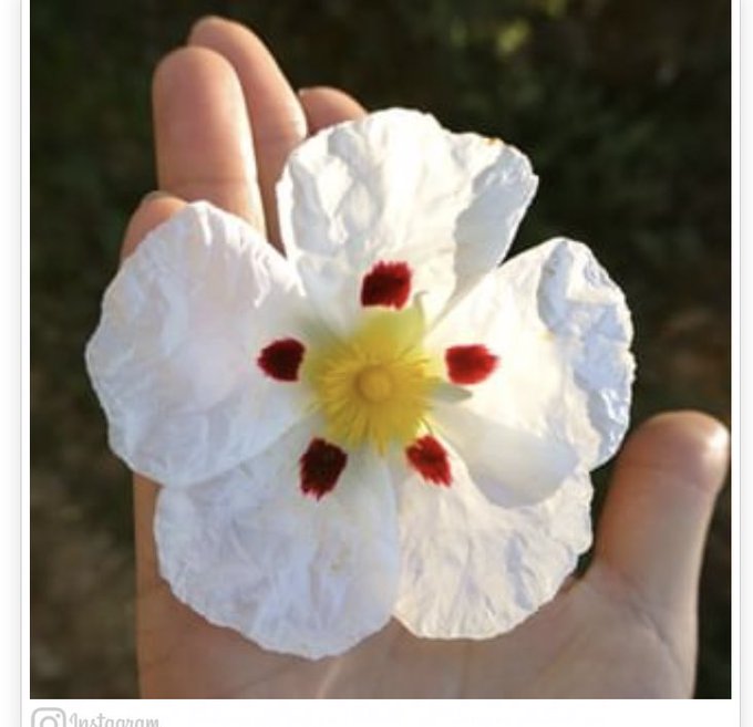 自然発火のtwitterイラスト検索結果 古い順