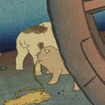 main image of this resource