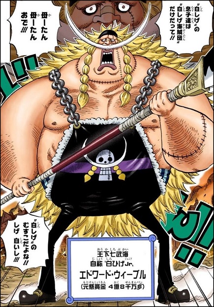 ワンピース 王下七武海の圧倒的強さ 新旧七武海メンバーを一挙解説 ランキング 漫画情報 Info