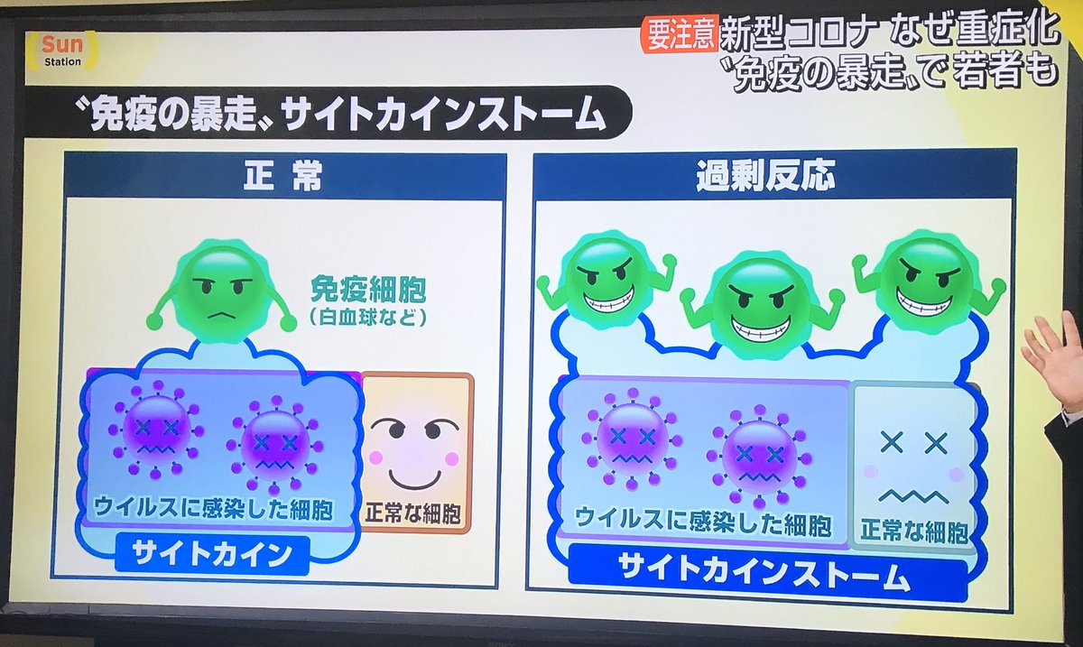 森羅万象 サイトカインストーム 免疫の暴走 とコロナhttps T Co Fyxzjqjtct T Co Pxxw8tm64m