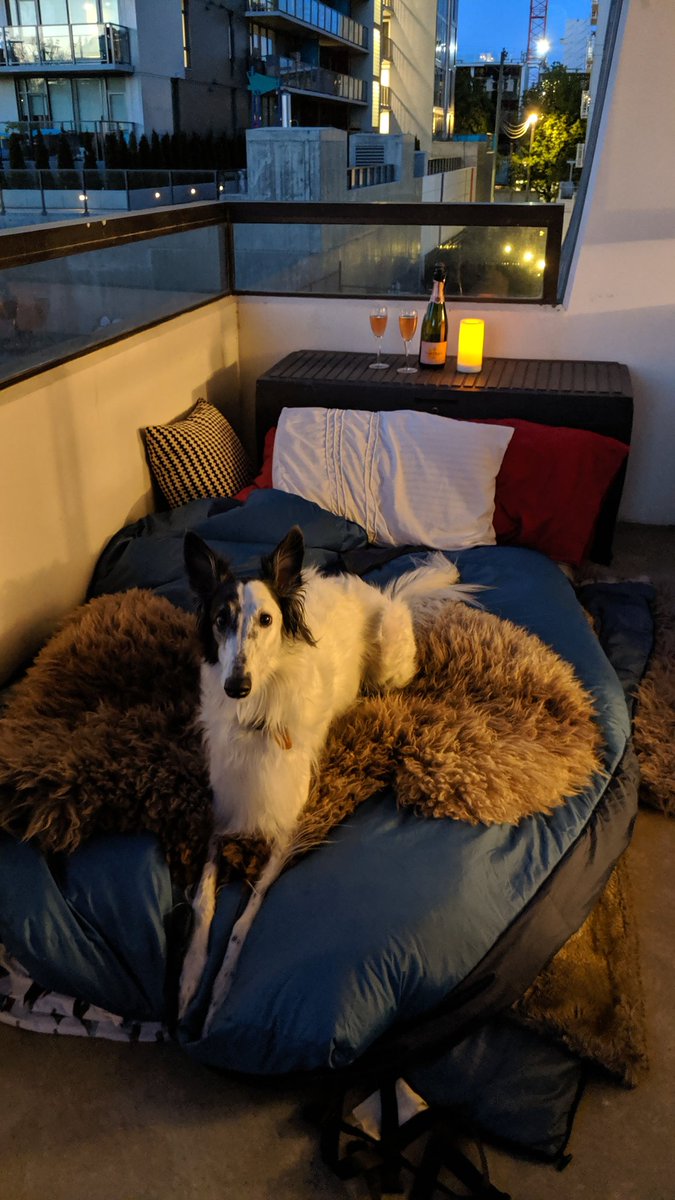 elginskye's tweet photo. We were planning to celebrate with a weekend away, but watching movies while "camping" will have to suffice ⛺ #SafeAtHome #VirtualDefence #Staycation #Glamping https://t.co/kJm1AHKLEX
