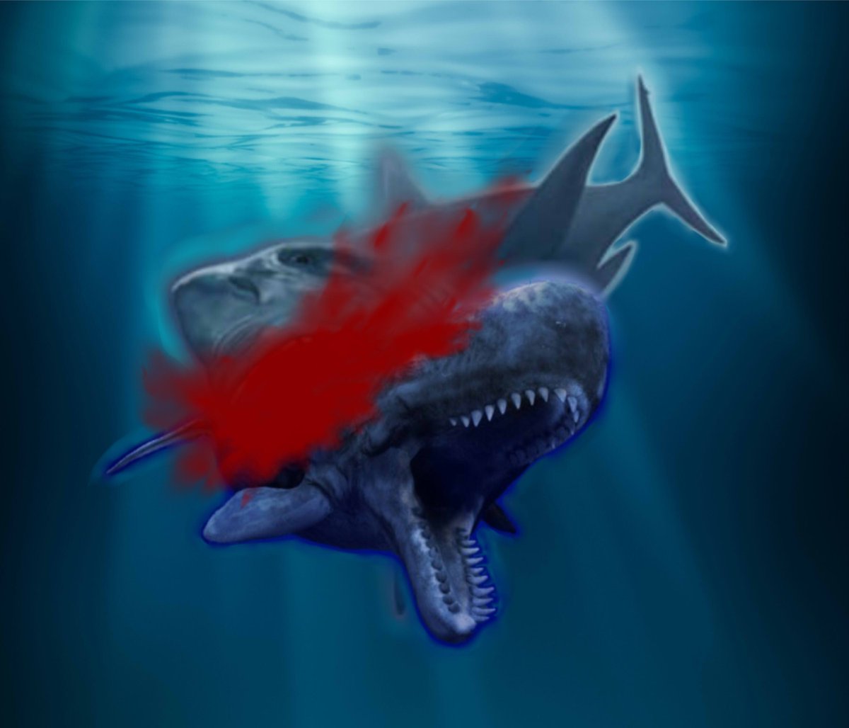 Twitter 上的 Natural Planet: Twitter 上的 Natural Planet: