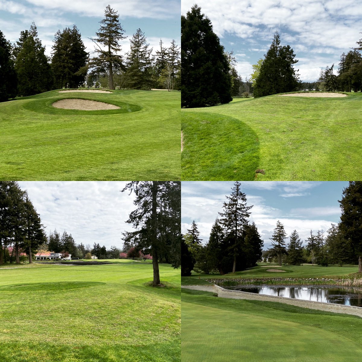 A new slice of fairway around the last bunker on 18 fairway. Sorry no before picture.  Can’t beat this angle into a tucked left pin on the closing hole <a href="/GolfGG/">Glacier Greens Golf Club</a>