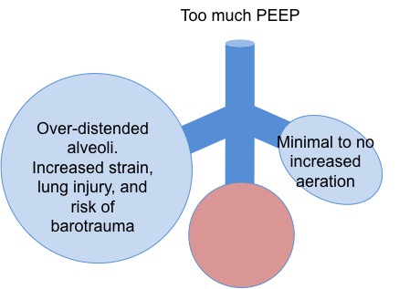 9/ However, if you use too much PEEP, you get diminishing returns. You don’t recruit more alveoli, and instead over-distend them. This doesn’t improve oxygenation, causes harmful stretch of the lung, and can increase the risk of barotrauma and pneumothoraces.