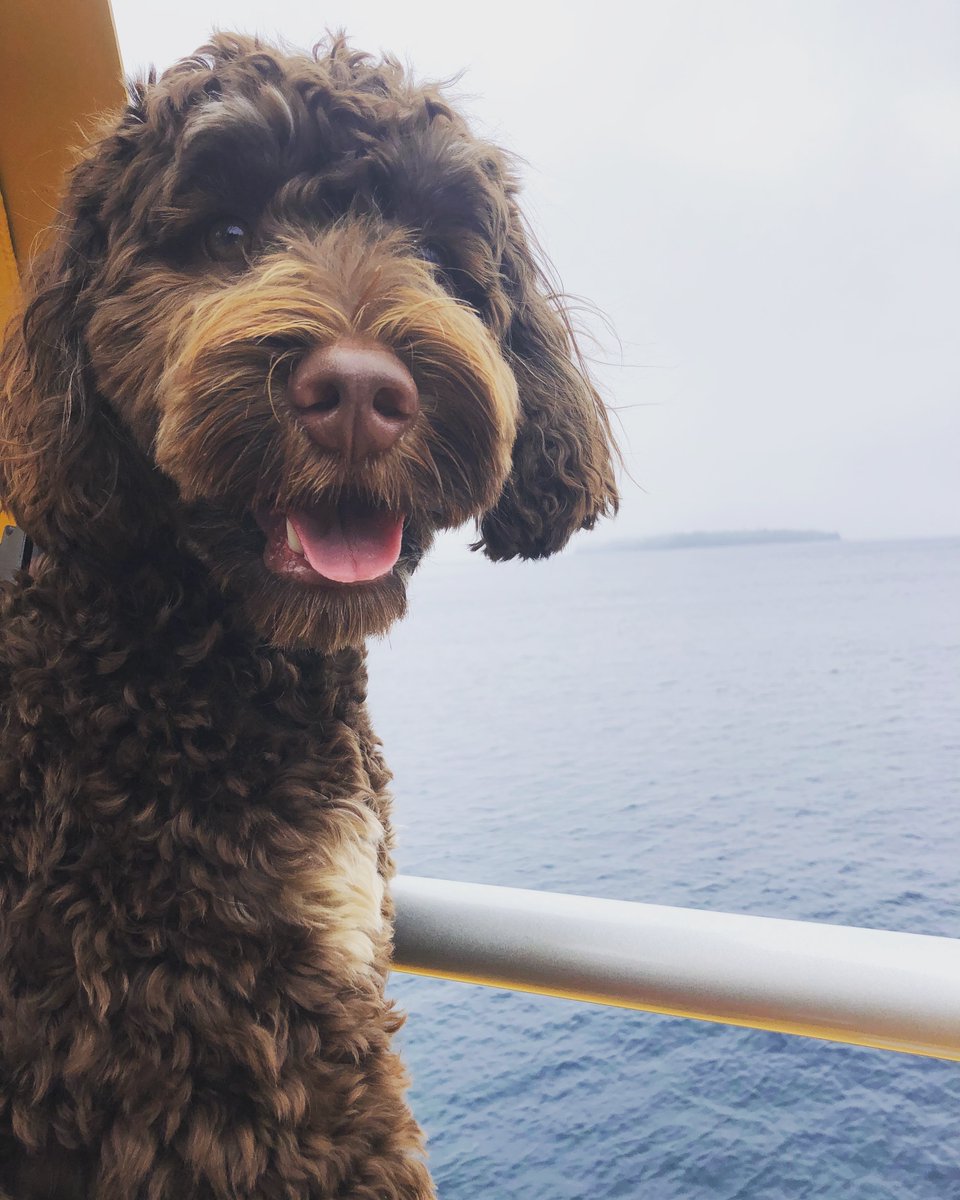 LOLLYreese's tweet photo. smile &amp; make some memories. https://t.co/Jp5Voyz9rI