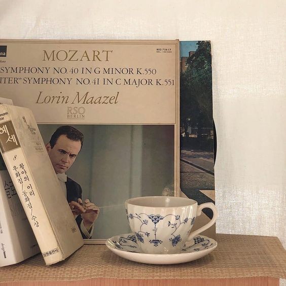 ᱸ  ✿  ⁎ ลฟตท 𓈒 🎡 ⁺ เค้า ˓ แมกโนเลีย ˒ เมจเด่กคูลไอยู 1993 ‘ 𝚔𝚒𝚍𝚍𝚘 🩹 🎨 𓈒 ทุเดย์♡̷ เค้าจะมา ˓ แลกฟอล ╺ ตามทัก ˒ กับทุกคนที่มารีค้าบ 🐰 𓈒 🤍