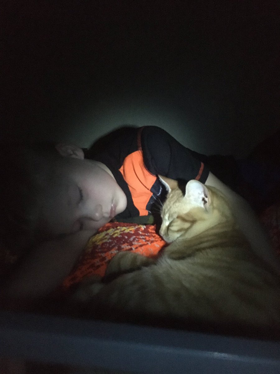 Insteadofdishes's tweet photo. @SEC My son and his cat he named Jake Mangum. https://t.co/0zqiET1qfS