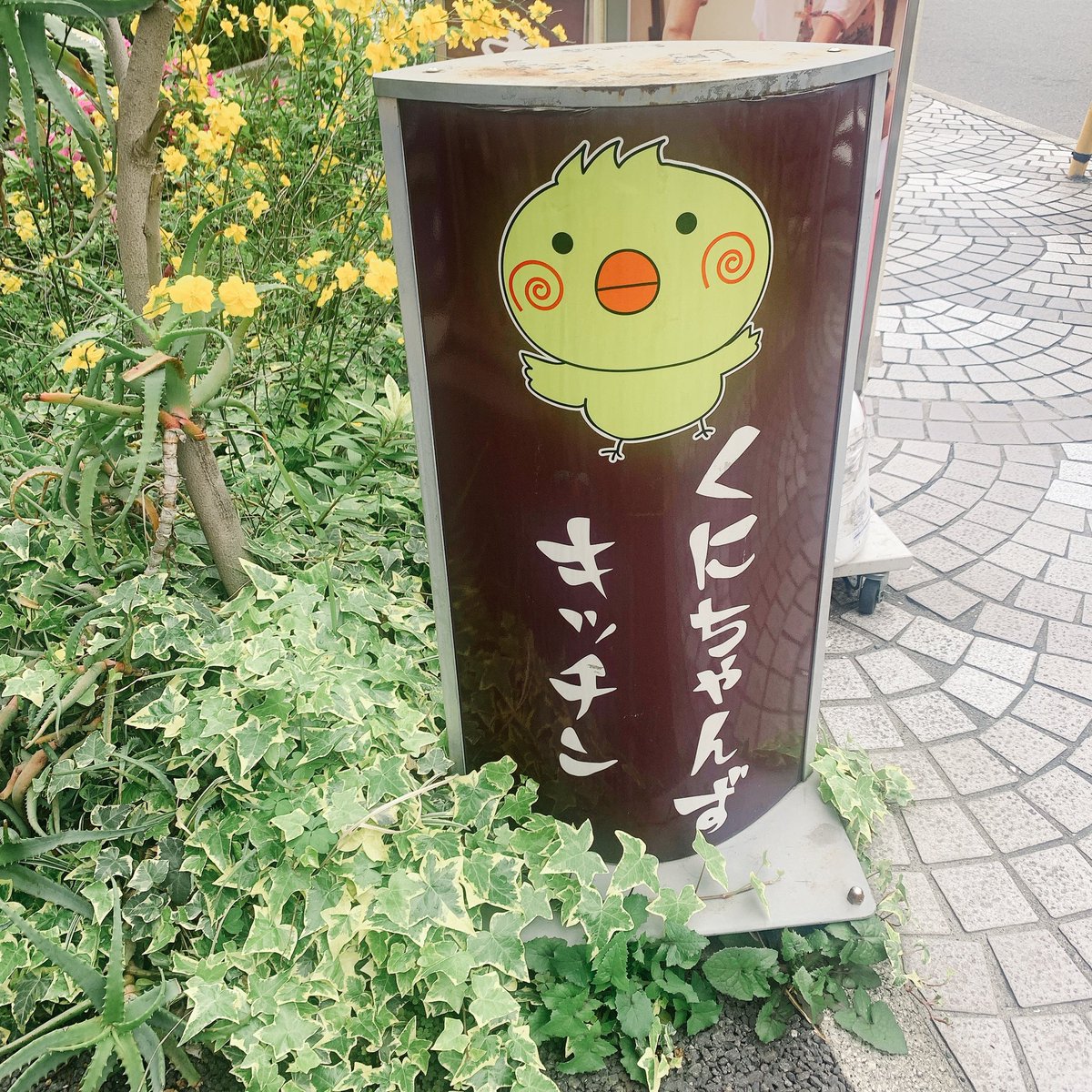 Haischlib くにちゃんずキッチン Ar Twitter