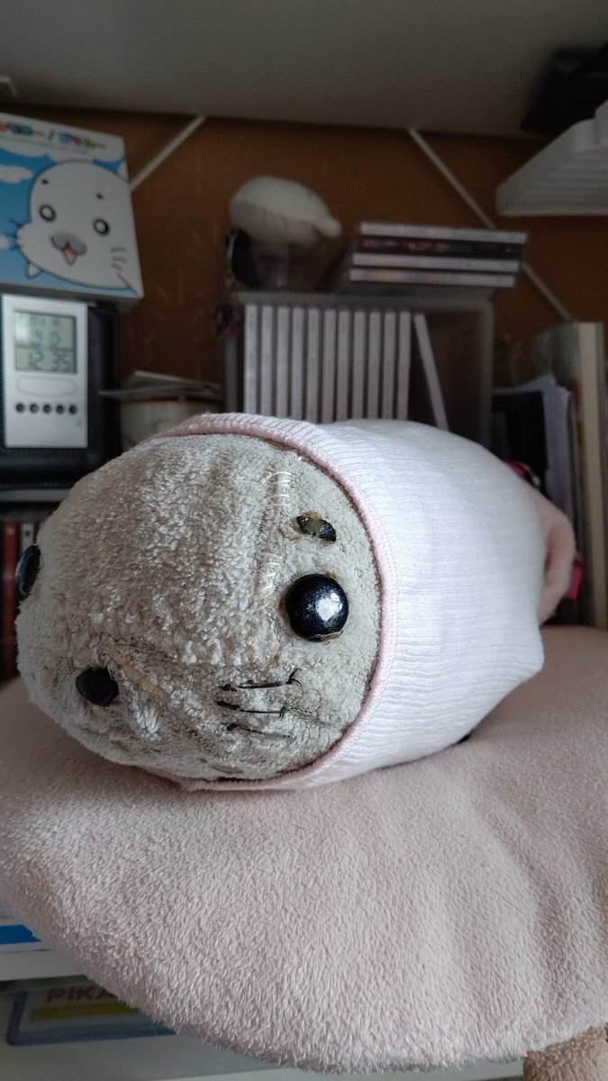 愛されすぎたゴマちゃん Togetter 愛されすぎたゴマちゃん Togetter