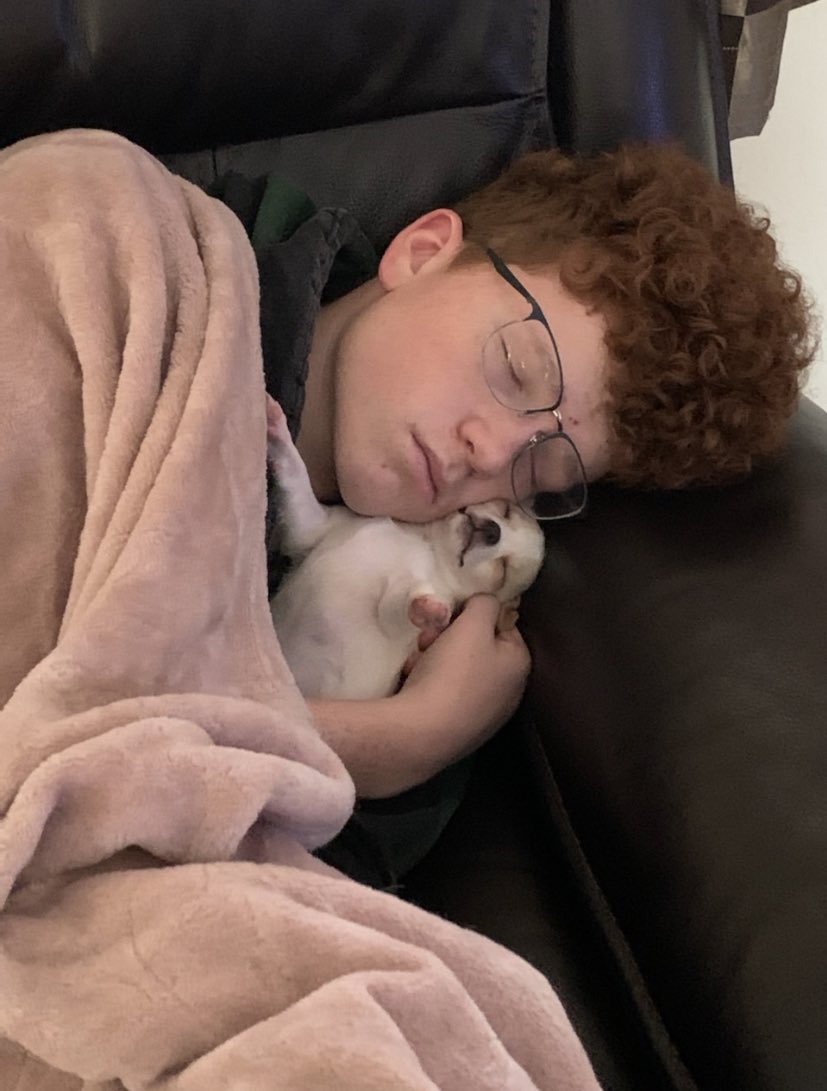 Cole and Mac sleeping