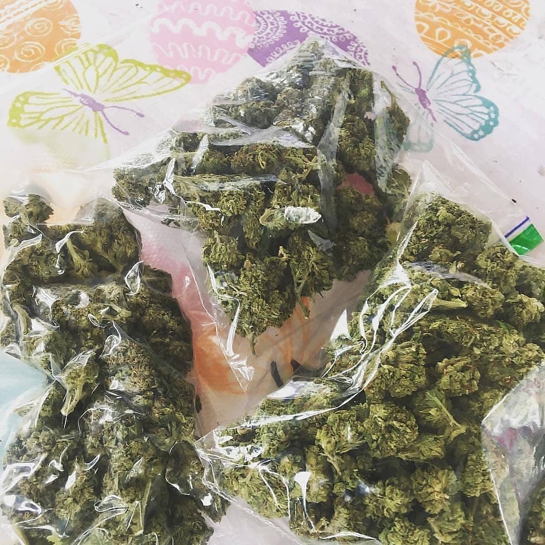 45Dankking's tweet photo. Avez-vous besoin de la meilleure qualité commandez sur/
Snap/mabeuh_98
Wickr/mabeuh98
#Limoges #villeurbanne #Metz #Besançon #Perpignan #Orleans #Caen #mulhouse #rouen #NANCY #boulognebillancourt #ARGENTEUIL #Montreuil #saintdenis #roubais #Poitiers #NanterreReveilleToi #creteil https://t.co/M2V7pDdSxE