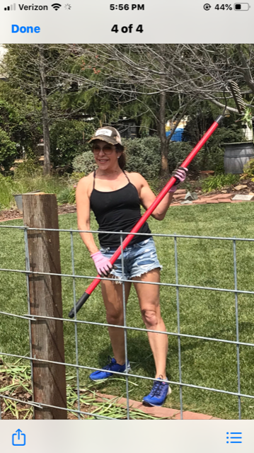 JessAguirreNBC's tweet photo. A respite from @nbcbayarea anchor desk-yard work ordered by BFF @JeffRanieri! Headed up to our farmhouse in @GoCalaveras Murphys did some raking w/ my beau as our beloved Sierra mining town lined w/ wineries sat silent! Still idyllic,can’t wait until it reopens! #MurphysCA https://t.co/PYR53xyier