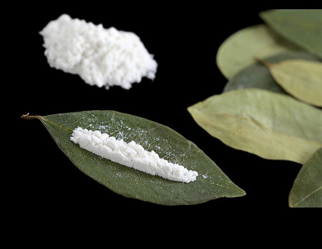 2. Cocaine Antara dadah yg paling addictive kerana memberi rasa euphoria, rasa bertenaga, teruja tapi sementara.Cocaine dihasilkan daripada daun Erythroxylon coca menjadi serbuk. Diambil dengan sedut pada nostril, sehingga dua lubang hidung jadi satu lubang!Sangat bahaya!