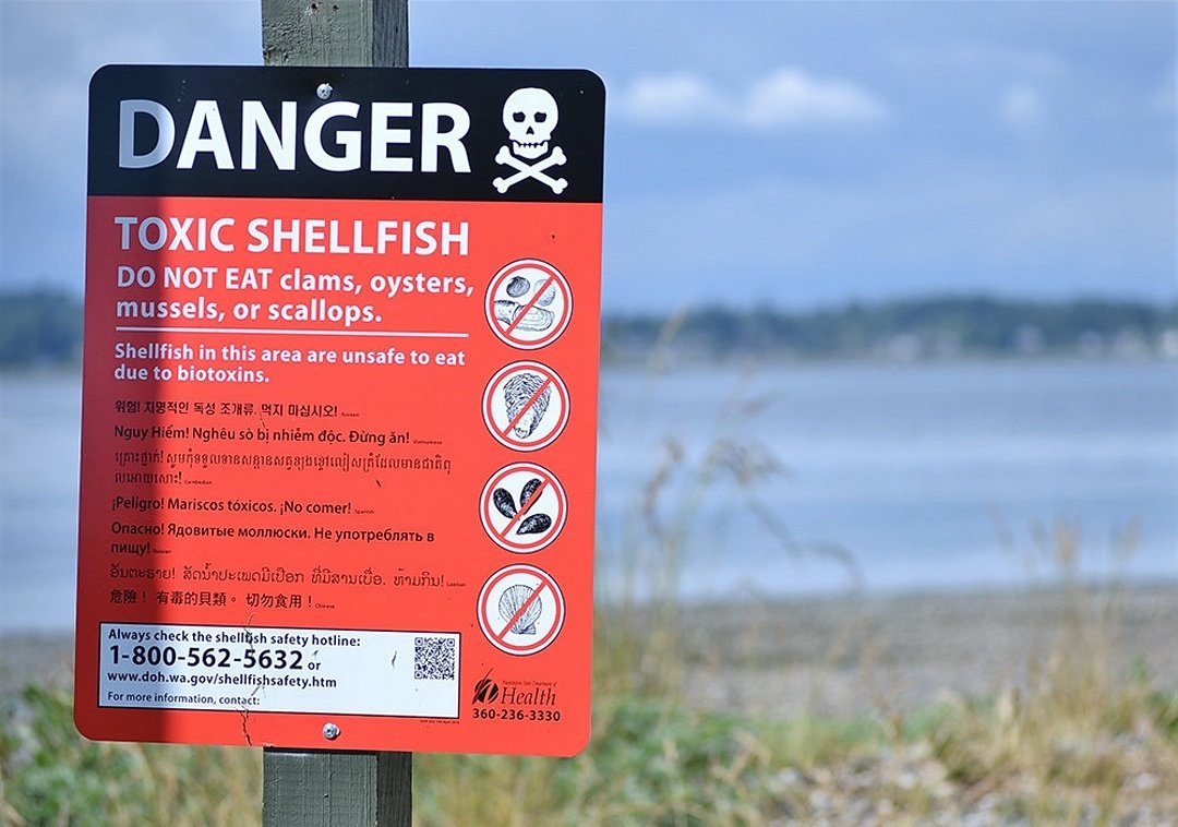 Selain itu, untuk kes keracunan daripada marine toxin ini, shellfish mungkin mengandungi racun setelah memakan algae yang menghasilkan biotoksin,yang kemudiannya meracuni kita yang memakan mereka. Sungguh selfish!Bacaan lanjut boleh Google Paralytic Shellfish Poisoning.