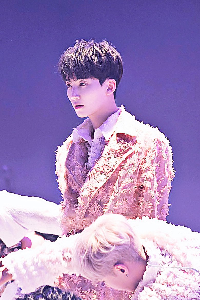 開店祝い ジョンハン 舞い落ちる花びら Seventeen アイドル Alrc Asia