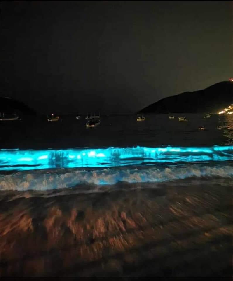 reyes_rene's tweet photo. #Acapulco mágico en Puerto Marqués se ilumina el mar debido al efecto de #bioluminiscencia un espectáculo.
#FelizLunes #Quedateencasa https://t.co/QHex1sZAzM