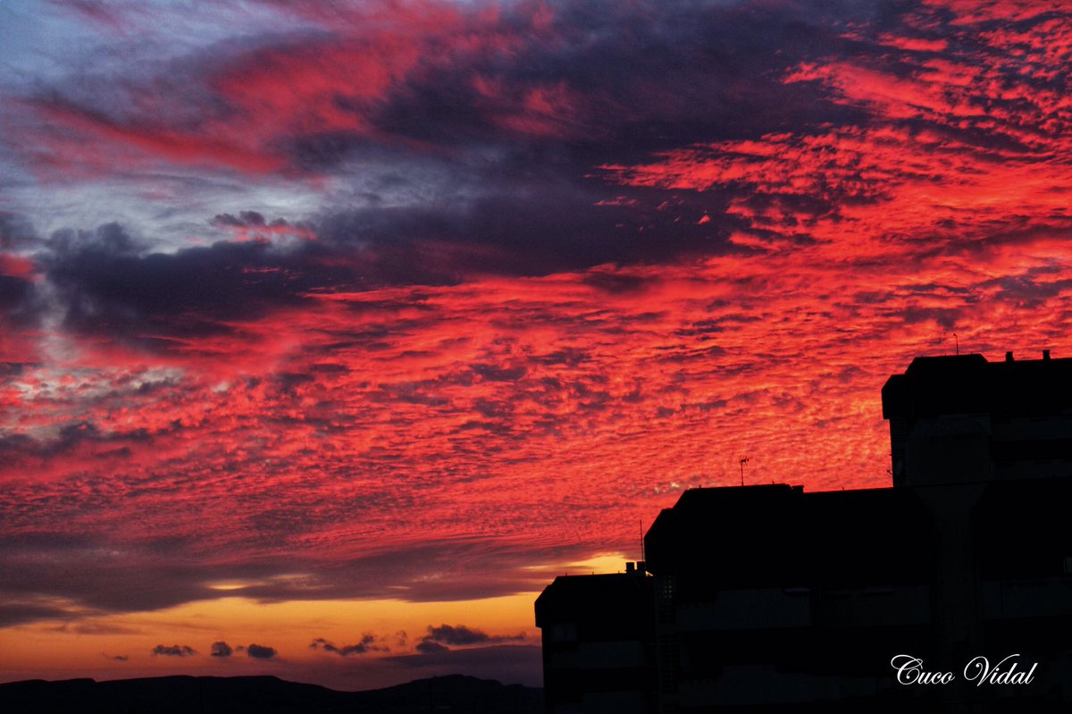 El confinamiento de un “Arrebol” desde mi ventana hacia tu mirada. 📸 #Alicante #Alacant #CostaBlanca #comunidadvalenciana #atardecer #FotoDelDía #mediterráneoenvivo #cvdesdemibalcón #quedatencasa #DesdeMiVentana #Coronavid19 #COVID19 🇪🇸 #españa