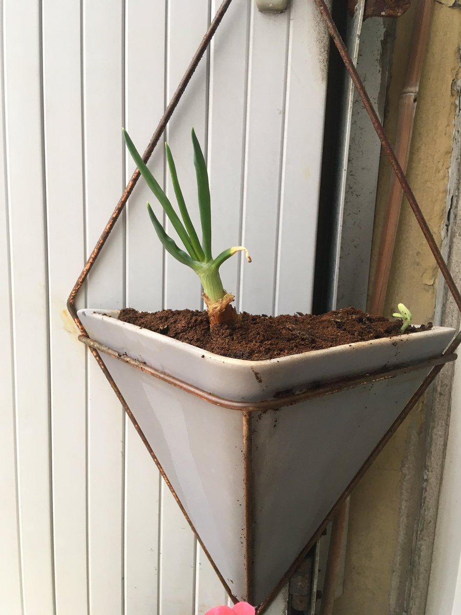 Caro Chimo tweet media