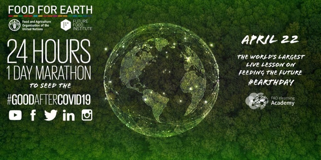 "Food for Earth Day":maratona virtuale 24ore su sistemi agroalimentari sostenibili e #foodinnovation
<a href="/Ffoodinstitute/">FutureFoodInstitute</a> <a href="/FAO/">Food and Agriculture Organization</a>
📽️Live: bit.ly/2XHDq4T

⏲️14.00 CEST:<a href="/AngeloRiccaboni/">Angelo Riccaboni</a> su ruolo #innovazione per futuro sostenibile #agrifood
#goodaftercovid19 #EarthDay #Food4Earth