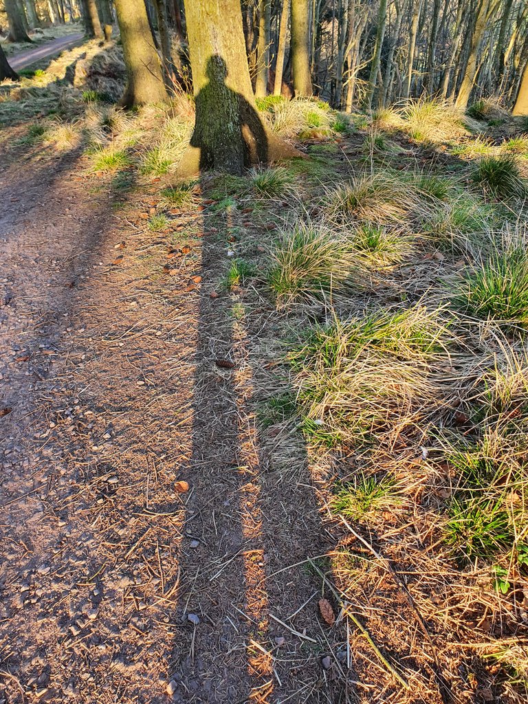LindaJo19861926's tweet image. #morningwalk #longshadows  @FriendsofANCHOR  #itsthelittlethings
