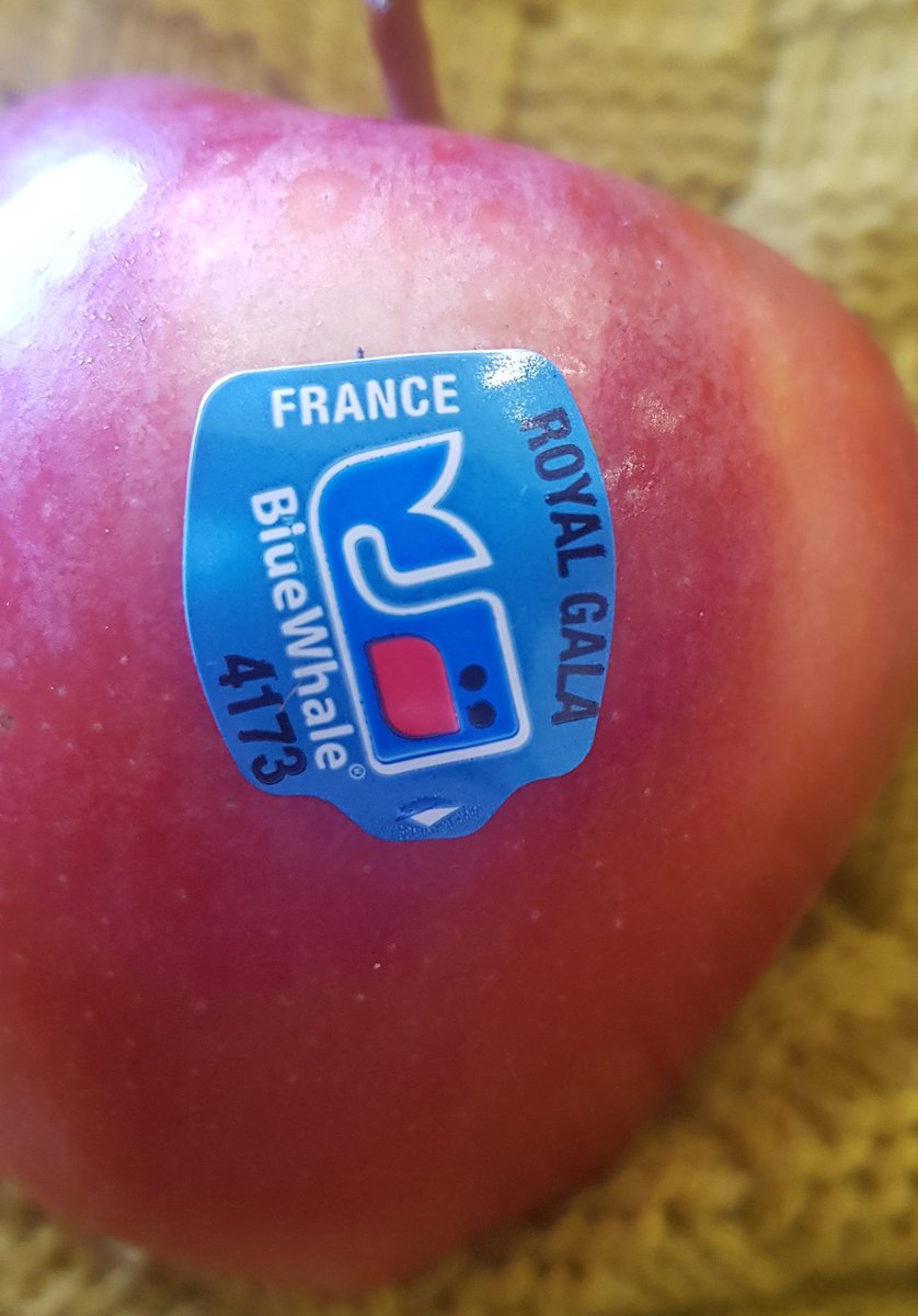 Usually I buy local produce but this particular apple came in a gift basket. The label says France and a company logo (BlueWhale). Also some codes and I'm curious what they mean. Royal Gala apples are not my favourite (I love a Jazz Apple) but we will get to a taste test later...