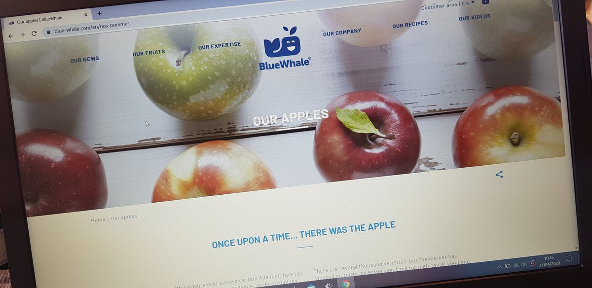 I found BlueWhale! They sell a lot of apples. How much money do people make from growing and selling apples? This is a nice website. As a media teacher I find the layout and images visually appealing. One thing's for sure, I want to eat an apple now.