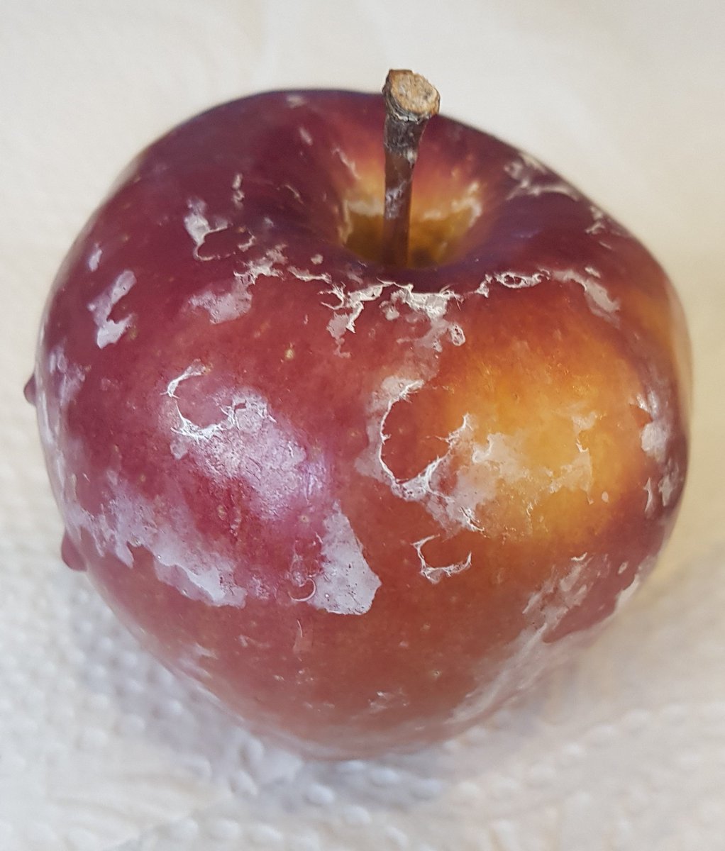 I have to admit I thought it was a joke but this looks like food grade wax. I'm a tiny bit grossed out but very curious. There are positive and negative articles online about fruit wax but many do say apples can be up to 1 year old when you buy them as they're often stored first.